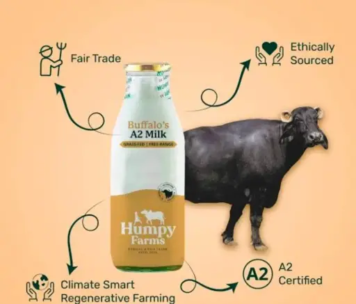 Buffalo Milk